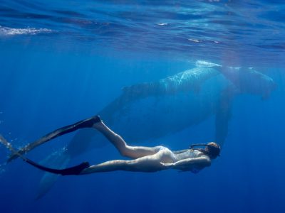 girlswimswithwhale-freediving-whaleswim-humpback-scottwilsonimagery